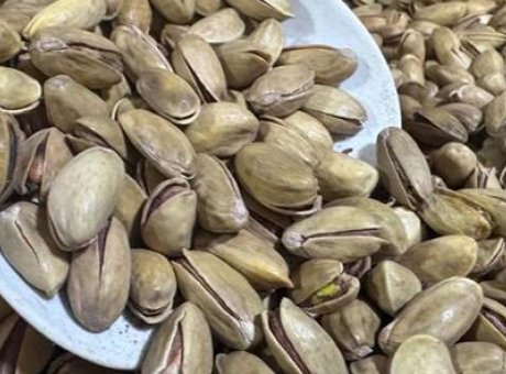 Fıstık İhracatında Şaşırtan Y&uuml;kseliş: İlk &Ccedil;eyrekte 32,8 Milyon Dolar!