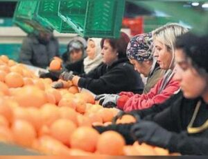 Kadınların İhracattaki G&uuml;c&uuml;: Y&uuml;zde 23.5&rsquo;lik Payla Tarih Yazılıyor!