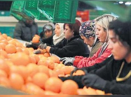 Kadınların İhracattaki G&uuml;c&uuml;: Y&uuml;zde 23.5&rsquo;lik Payla Tarih Yazılıyor!