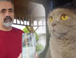 Kedinin &Ouml;l&uuml;m&uuml; CİMER&rsquo;i Hareket Ge&ccedil;irdi: Aşı Kazası mı?