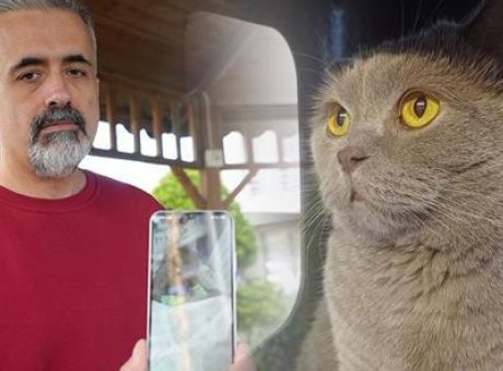 Kedinin &Ouml;l&uuml;m&uuml; CİMER&rsquo;i Hareket Ge&ccedil;irdi: Aşı Kazası mı?