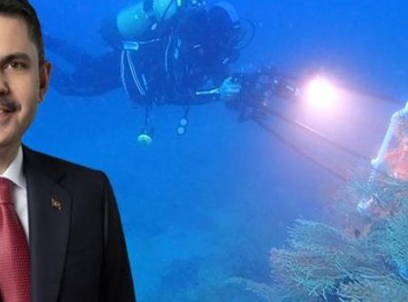 Marmara Denizi’nde Mercanları Yeniden Hayata D&ouml;nd&uuml;rme Projesi Başladı!