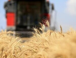 Orta Doğu’da Tırmanan Gerilim: Tarım Fiyatları Rekor Kırıyor!