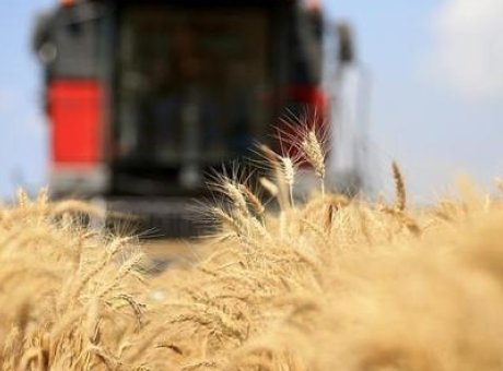 Orta Doğu’da Tırmanan Gerilim: Tarım Fiyatları Rekor Kırıyor!