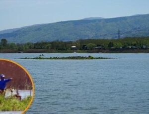 Saklı Kıyılar G&uuml;n Y&uuml;z&uuml;ne &Ccedil;ıktı: Sapanca G&ouml;l&uuml;’ndeki Gizemli Yapılar Ne Anlama Geliyor?