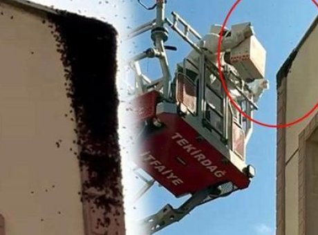 Şehir Merkezinde Flaş Gelişme: Gizemli Kutular Panik Yarattı!