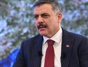 Sokak Hayvanları İ&ccedil;in Umut: Bakan &Ccedil;ift&ccedil;i’den &Ccedil;arpıcı A&ccedil;ıklama