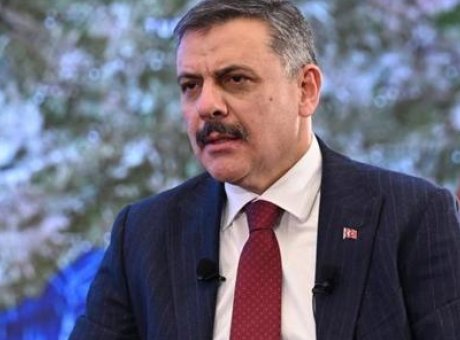 Sokak Hayvanları İ&ccedil;in Umut: Bakan &Ccedil;ift&ccedil;i’den &Ccedil;arpıcı A&ccedil;ıklama