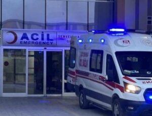 Sokak K&ouml;peklerinin Saldırısı: 5 Yaşındaki &Ccedil;ocuğun Trajik &Ouml;l&uuml;m&uuml;