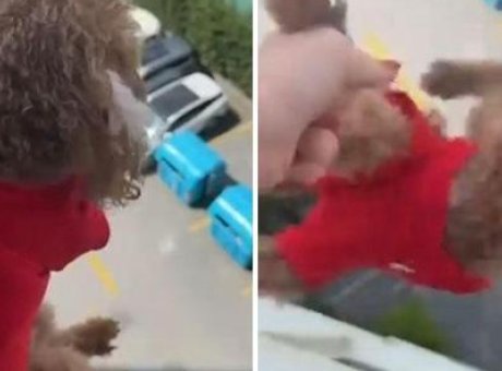 Sokaklar Şokta! Başakşehir’de K&ouml;peğini Tehdit Eden Kadının Olayı Sosyal Medyayı Kızdırdı