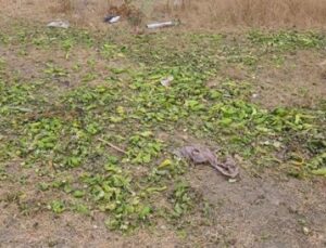 Sosyal Medyada Tartışma Yaratan G&ouml;r&uuml;nt&uuml;ler: Bakanlık’tan &Ccedil;arpıcı A&ccedil;ıklama