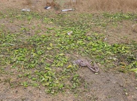 Sosyal Medyada Tartışma Yaratan G&ouml;r&uuml;nt&uuml;ler: Bakanlık’tan &Ccedil;arpıcı A&ccedil;ıklama