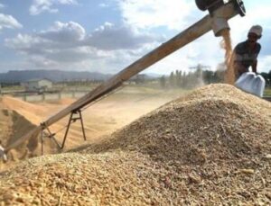 TMO’nun Yeni Hasat Sezonu Stratejisi: Fiyat Artışı Yok, Stoklar Y&uuml;ksek!