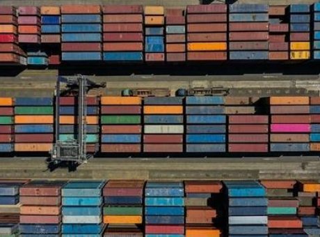 Ağa&ccedil; İşleme Sekt&ouml;r&uuml;nde Devrim: Yapay Zeka ile İhracat Hedefleri Y&uuml;kseliyor