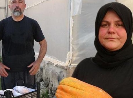 Antalya’da Tropikal Meyve &Ccedil;ılgınlığı: 90 TL’lik Meyve Nasıl Değiştiriyor?