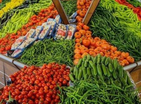 Antalya’nın Tarım G&uuml;c&uuml;: 31 &Uuml;r&uuml;nde T&uuml;rkiye’nin Zirvesinde!