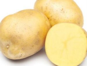 Avrupa’nın Patates Pazarında Beklenmedik &Ccedil;&ouml;k&uuml;ş: Rekor Hasat, Sert Fiyat D&uuml;ş&uuml;ş&uuml;