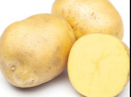 Avrupa’nın Patates Pazarında Beklenmedik &Ccedil;&ouml;k&uuml;ş: Rekor Hasat, Sert Fiyat D&uuml;ş&uuml;ş&uuml;