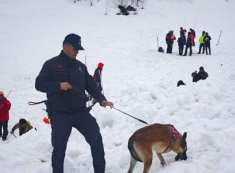 &Ccedil;ığ Felaketi: Kaybolan &Ccedil;oban İ&ccedil;in Arama &Ccedil;alışmaları Yeniden Başladı