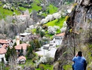 G&uuml;m&uuml;şhane’de Doğanın B&uuml;y&uuml;s&uuml;: Taşlardan Fışkıran Dolama &Ccedil;i&ccedil;ekleri