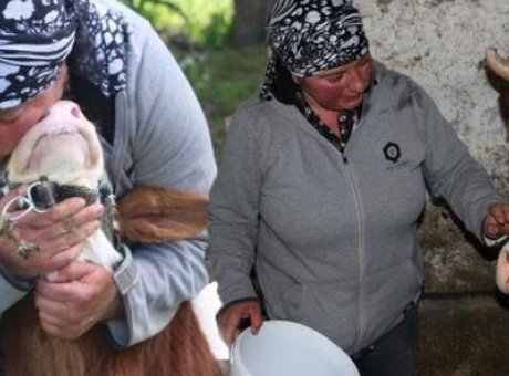 G&uuml;rcistan’dan Erzincan’a Hayvansever Gelin: Nino Eroğlu’nun Başarı Hikayesi