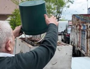 İstanbul’un Merkezinde Doğa Şovu: Arı Kolonisi Mahalleyi B&uuml;y&uuml;ledi!