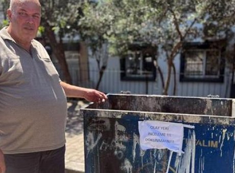 İzmir’de Şok Olay: &Ccedil;&ouml;pte Bulunan 33 &Ouml;l&uuml; Kedi ve Gizemli &Ouml;l&uuml;m Sebepleri