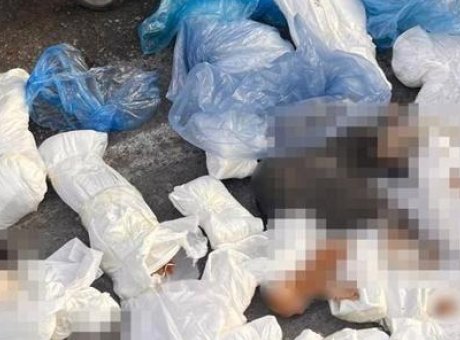 İzmir’deki Şok Tavşan Vahşeti: 33 &Ouml;l&uuml; Kedi ve Veterinere İtiraz!