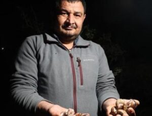 Kara Salyangozu Avı Başladı: Adana’da Gece Mesaisi Fırsatı!