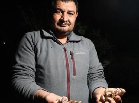 Kara Salyangozu Avı Başladı: Adana’da Gece Mesaisi Fırsatı!