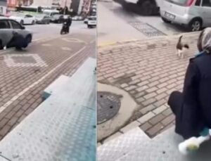 Kediyi &Ccedil;ekerek &Ccedil;ağırdı, Sonrası Şok Edici G&ouml;r&uuml;nt&uuml;ler!