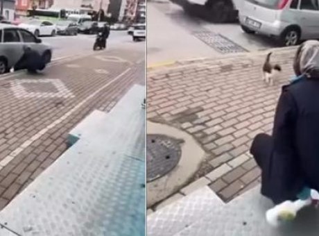 Kediyi &Ccedil;ekerek &Ccedil;ağırdı, Sonrası Şok Edici G&ouml;r&uuml;nt&uuml;ler!