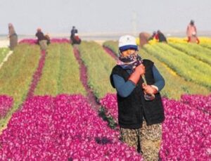 Kırsalda Yatırım Fırtınası: 10 Milyar Liralık Destek i&ccedil;in Son Şans!