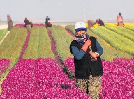 Kırsalda Yatırım Fırtınası: 10 Milyar Liralık Destek i&ccedil;in Son Şans!