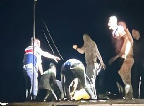 K&uuml;&ccedil;&uuml;k Mira&ccedil;&rsquo;ın Kayboluşu: Arama Kurtarma Ekipleri 11 Saat Sonra Şokla Karşılaştı!