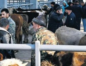 Kurban Bayramı’nda Fiyatlar Şaşırtacak: K&uuml;&ccedil;&uuml;kbaş 25 Bin, B&uuml;y&uuml;kbaş 550 TL!