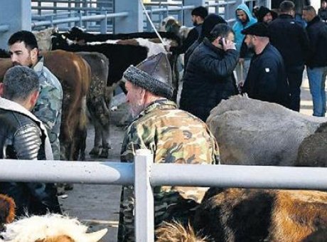 Kurban Bayramı’nda Fiyatlar Şaşırtacak: K&uuml;&ccedil;&uuml;kbaş 25 Bin, B&uuml;y&uuml;kbaş 550 TL!