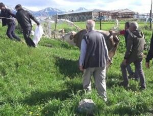 Kurban Bayramı’nda Şok Olay: Kalp Krizi Ge&ccedil;iren İki Kişi Hayatını Kaybetti