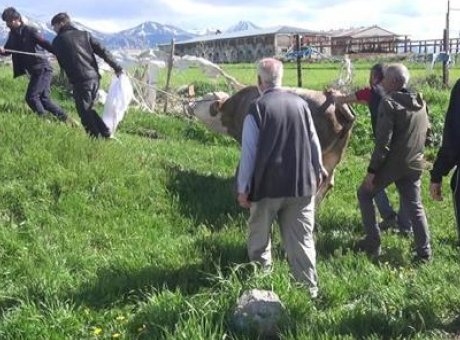 Kurban Bayramı’nda Şok Olay: Kalp Krizi Ge&ccedil;iren İki Kişi Hayatını Kaybetti