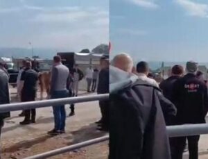 Kurban Pazarındaki Kavga Jandarmayı Harekete Ge&ccedil;irdi: Panik Anları!