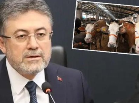 Kurbanlık Hayvanlar İ&ccedil;in Son Şans: ESK 1-7 Haziran’da Alım Yapacak!