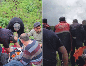 Mantar Toplarken Ayı Saldırısına Uğrayan Adamın Dramı: Parmağı Koptu!