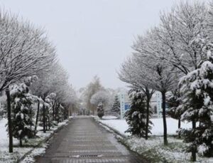 Mayıs Ayında Yağan Kar Yozgat’ı Bembeyaz Yaptı: &Ccedil;ift&ccedil;iler Umutlu