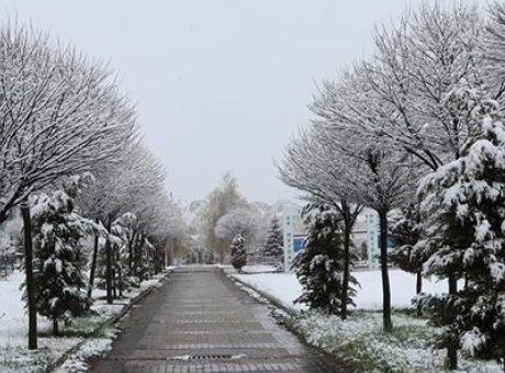 Mayıs Ayında Yağan Kar Yozgat’ı Bembeyaz Yaptı: &Ccedil;ift&ccedil;iler Umutlu