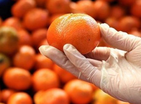 Mersin, Turun&ccedil;gil İhracatında Yılın İlk &Ccedil;eyreğinde Rekor Kırdı!