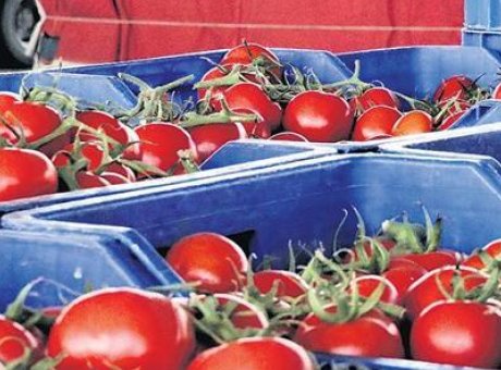 Sebze Fiyatları Şok Edici Y&uuml;zde 148 Artış G&ouml;sterdi: Pazarlar Ne Olacak?