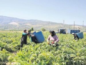 Su Kıtlığı ile M&uuml;cadelede Tarımda D&ouml;n&uuml;ş&uuml;m: Verimli Kullanımın &Ouml;nemi