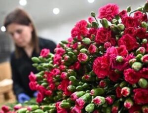 T&uuml;rkiye’den 35 &Uuml;lkeye 80 Milyon &Ccedil;i&ccedil;ek: Anneler G&uuml;n&uuml;’nde Rekor İhracat