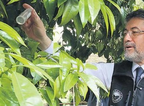 T&uuml;rkiye’den Tarımda &Ccedil;ığır A&ccedil;an Gelişme: 39 Yeni Bitki &Ccedil;eşidi Tescil Edildi!