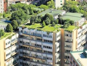 T&uuml;rkiye&rsquo;nin Enerji Verimli Bina İhtiyacı: Yatırımcılar D&uuml;ş&uuml;k Karbonlu Yapılara Y&ouml;neliyor